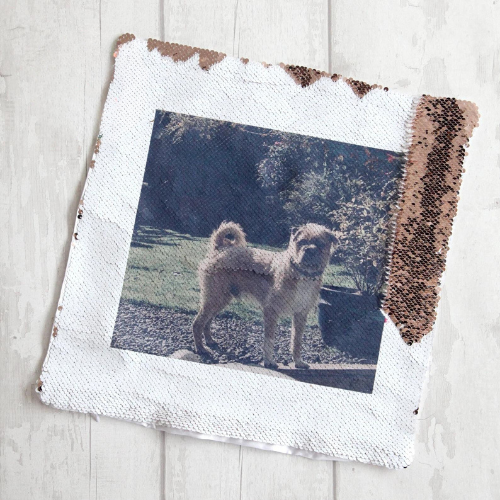 Forever Memory Secret Cover™︎