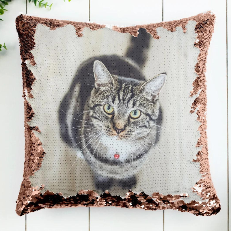 Forever Memory Secret Cover™︎