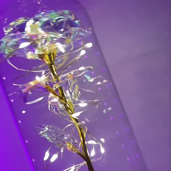 Forever Light Rose™︎