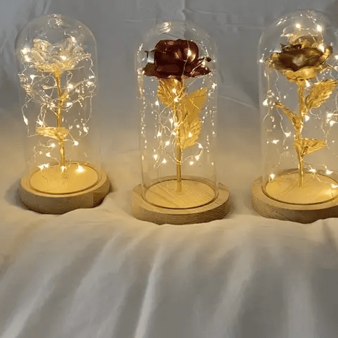 Forever Light Rose™︎